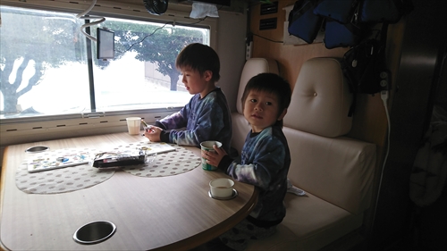 11日・今帰仁城跡の桜まつり！